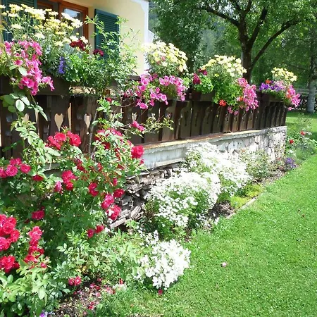 Ferienhaus Anke - Ausseerland Salzkammergut Chalet