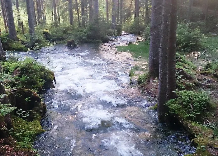Anke - Ausseerland Salzkammergut Chalé *